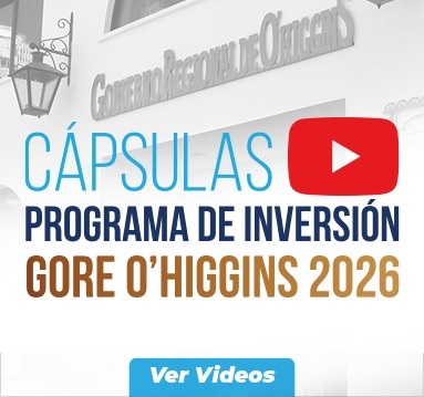 banner Programa inversion 2026