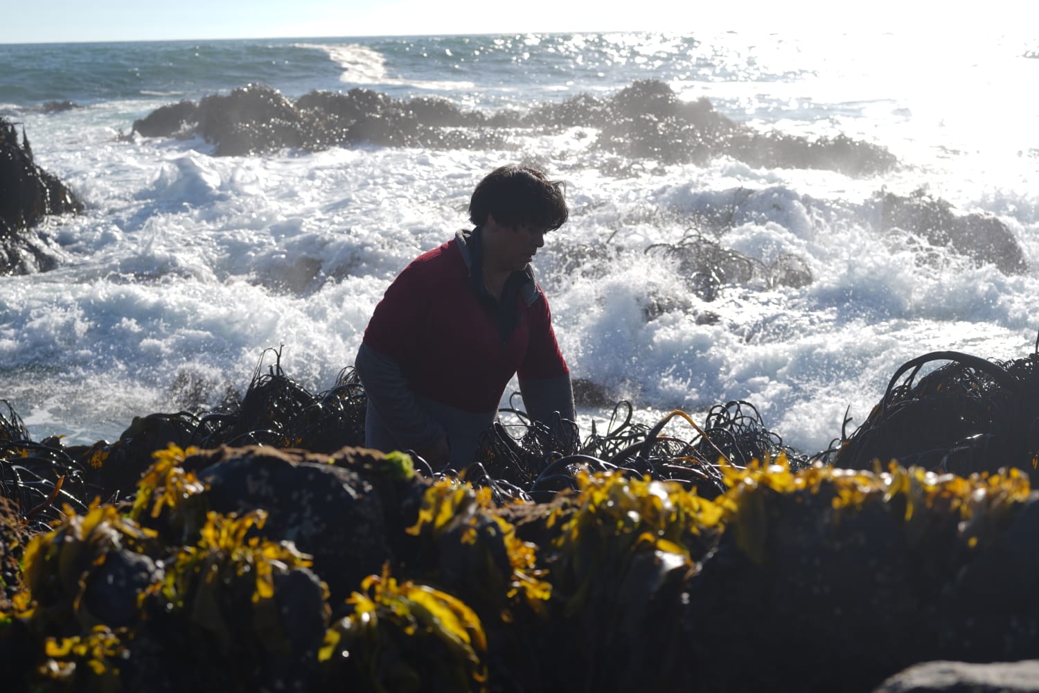 WhatsApp Image 2024 11 07 at 17.27.13 4